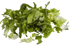 Groene slamix gemengd zak 500gr